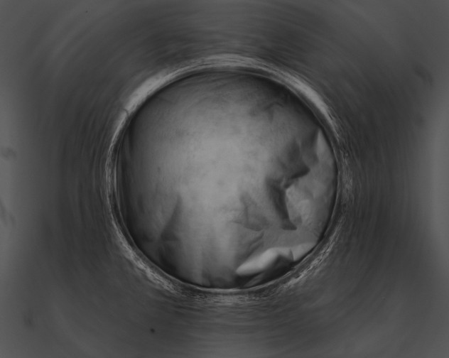 X0000090481381200708031115