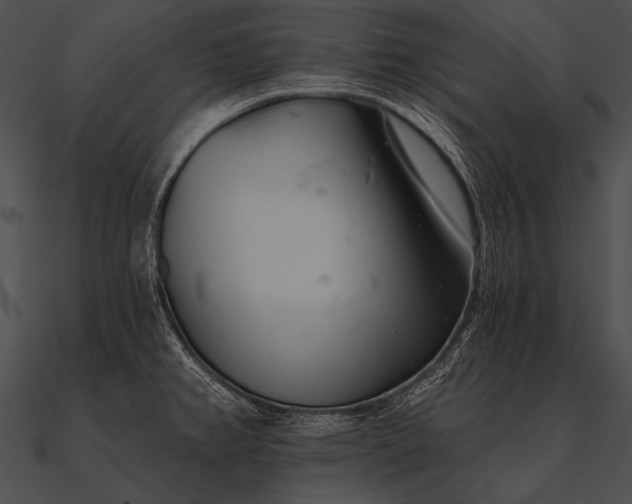 X0000090481382200708031115