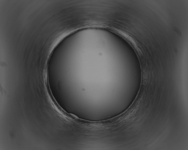 X0000090481383200708031115