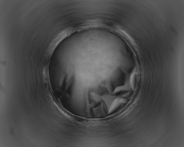 X0000090481385200708031115