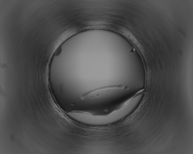 X0000090481386200708031115
