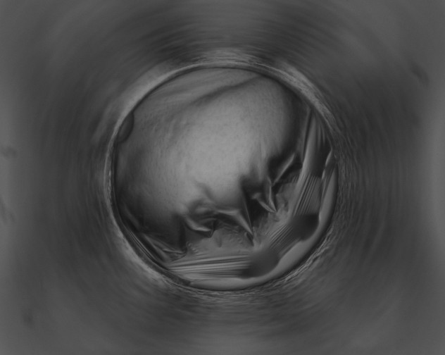 X0000090481387200708031115