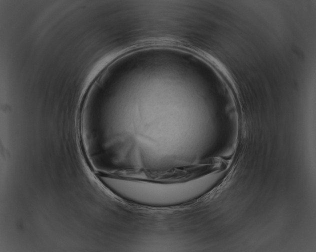 X0000090481389200708031115