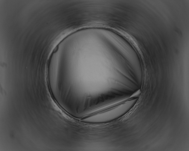 X0000090481390200708031115