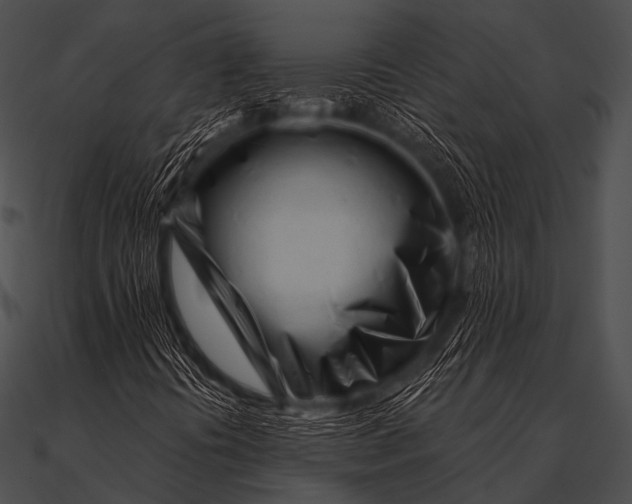 X0000090481394200708031115