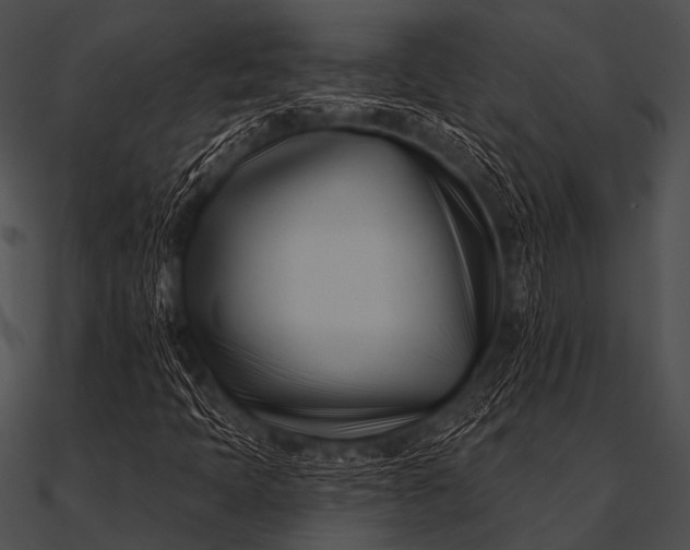 X0000090481397200708031115