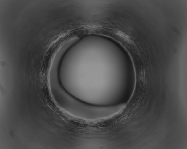 X0000090481398200708031115