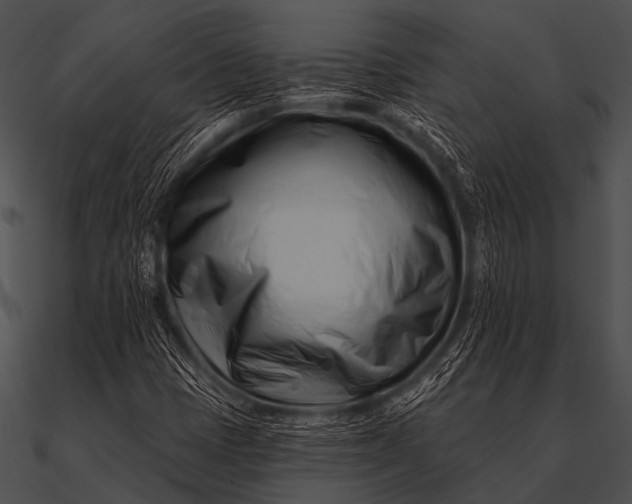 X0000090481401200708031115