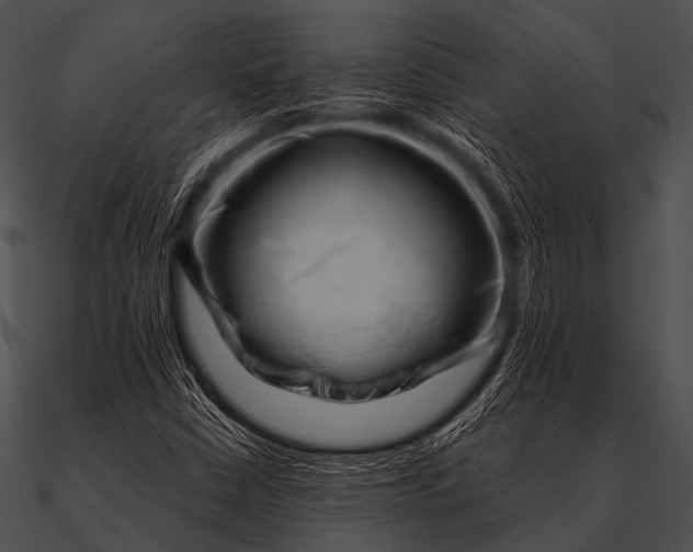 X0000090481402200708031115