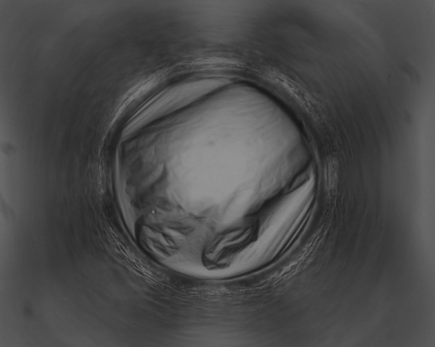 X0000090481405200708031115