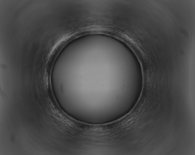 X0000090481408200708031115