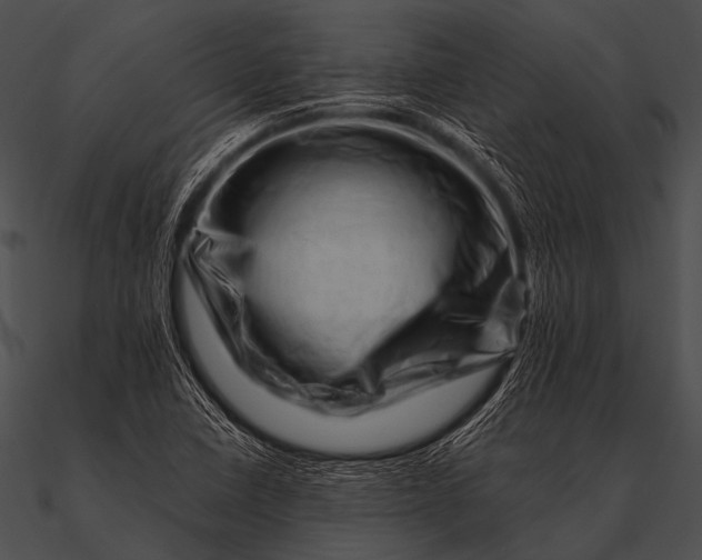 X0000090481410200708031115