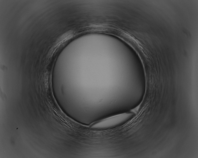 X0000090481411200708031115
