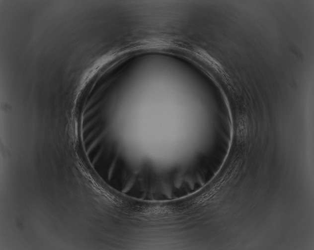 X0000090481414200708031115