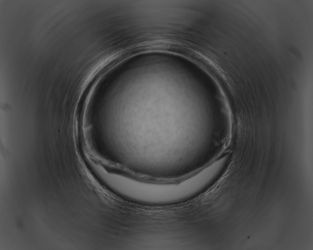 X0000090481418200708031115