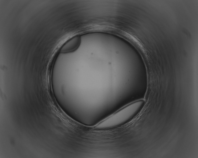 X0000090481419200708031115