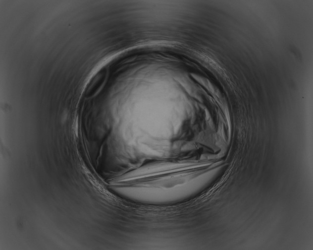 X0000090481420200708031115
