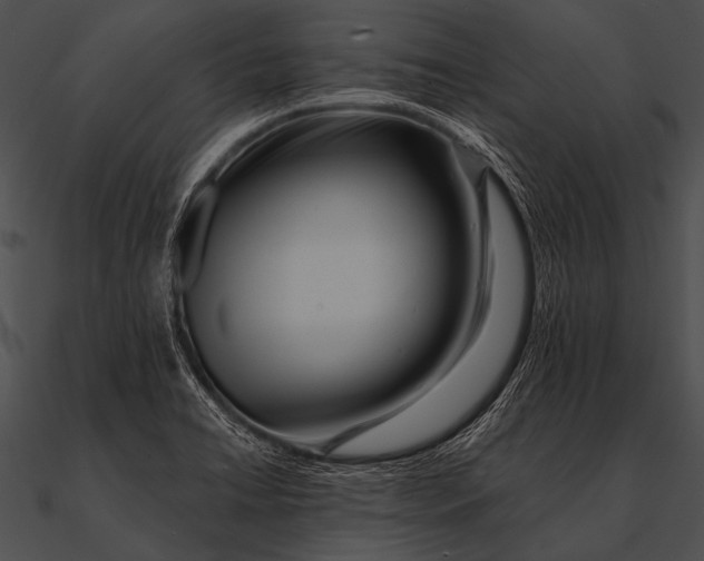 X0000090481422200708031115