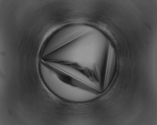 X0000090481424200708031115