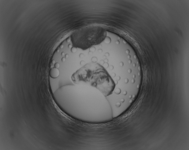 X0000090481425200708031115
