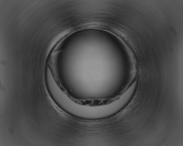 X0000090481426200708031115
