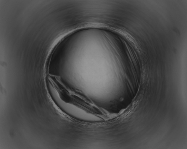 X0000090481430200708031115