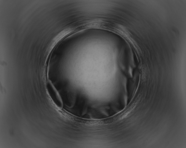 X0000090481434200708031115