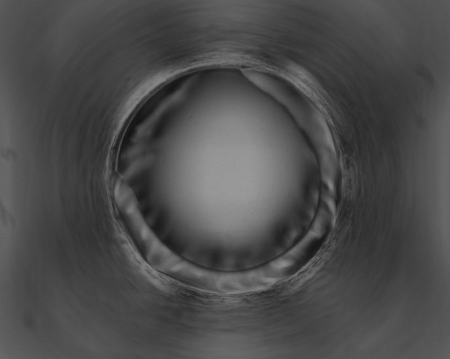 X0000090481438200708031115