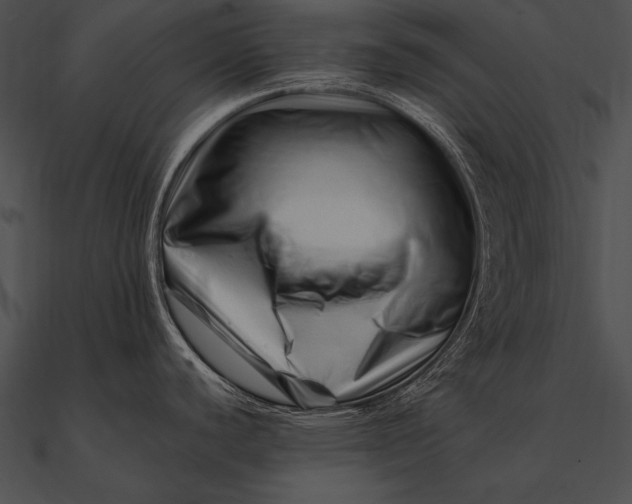 X0000090481440200708031115