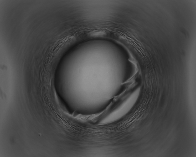 X0000090481441200708031115