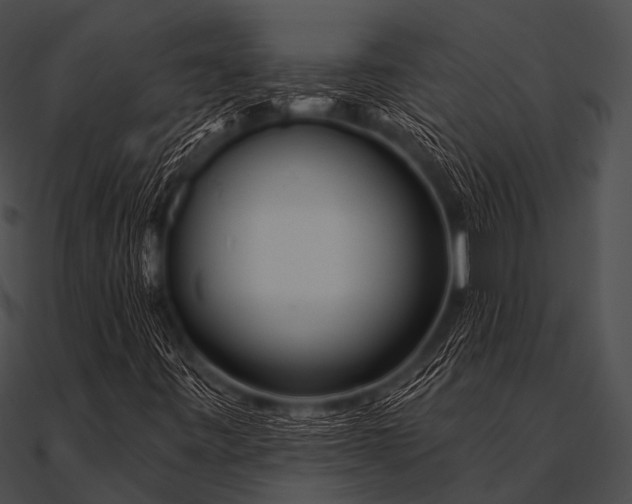 X0000090481443200708031115