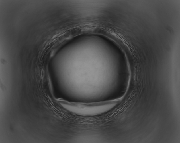 X0000090481445200708031115