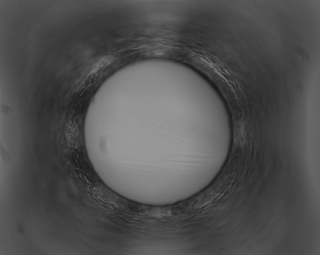 X0000090481446200708031114