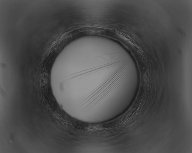 X0000090481447200708031114