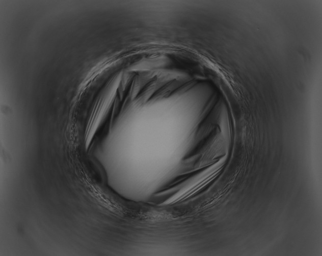 X0000090481448200708031114