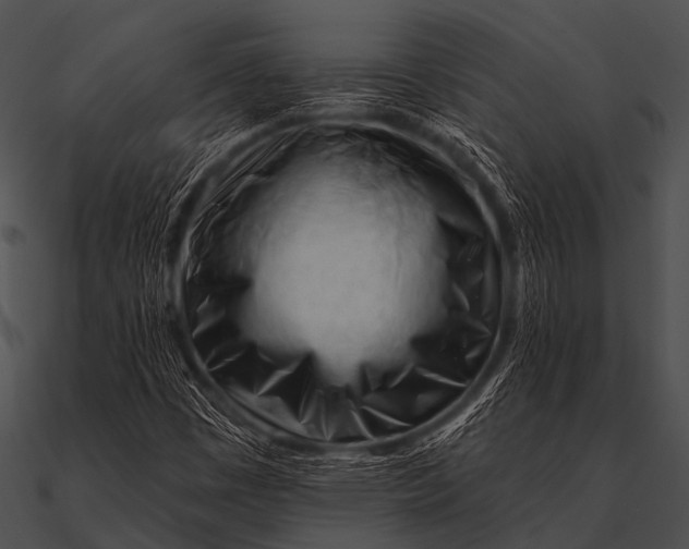 X0000090481449200708031114