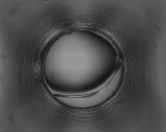 X0000090481450200708031114