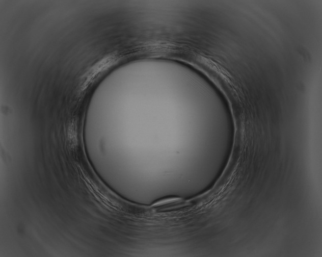 X0000090481451200708031114