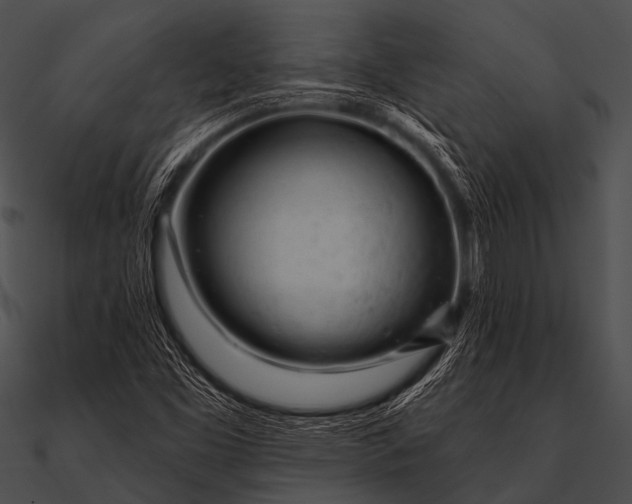 X0000090481453200708031114