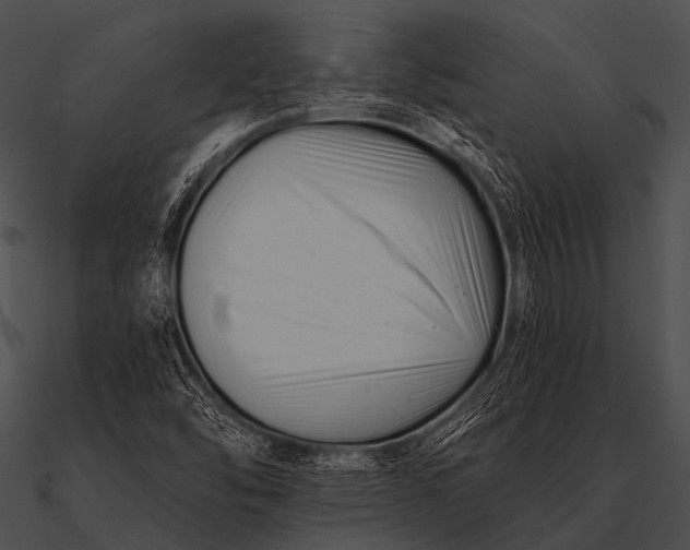X0000090481454200708031114