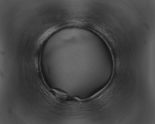 X0000090481455200708031114