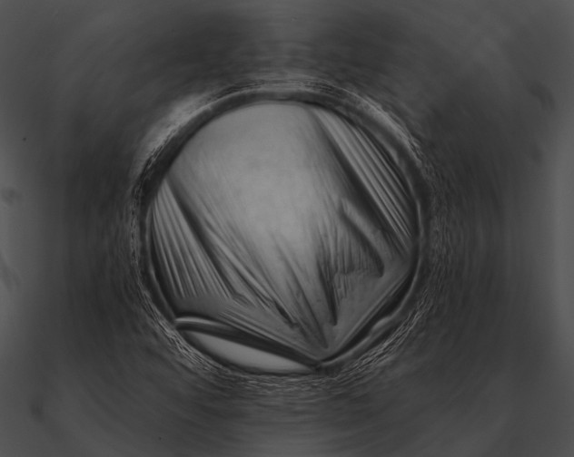 X0000090481456200708031114