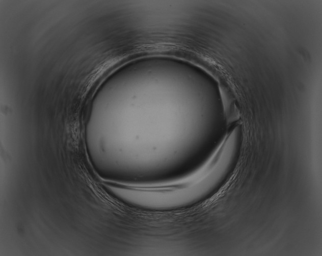 X0000090481457200708031114