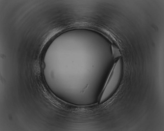 X0000090481458200708031114