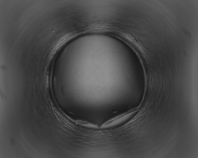 X0000090481459200708031114