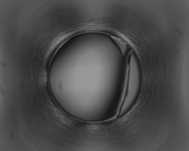 X0000090481461200708031114