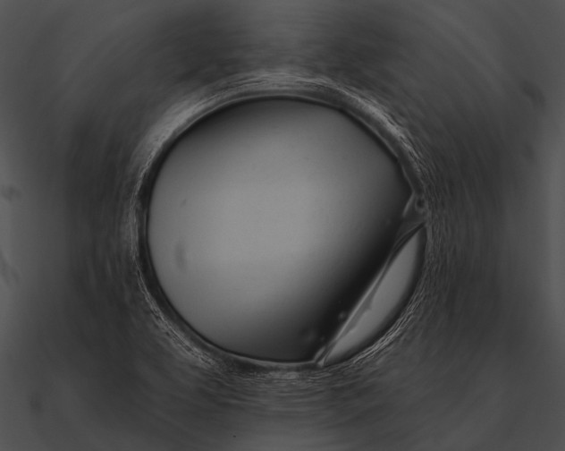 X0000090481463200708031114