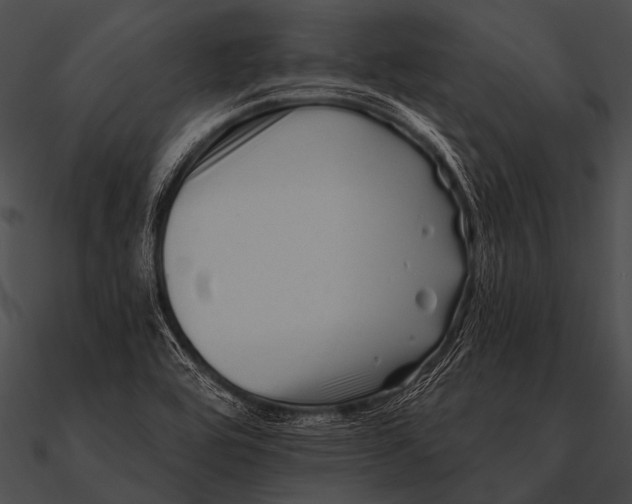 X0000090481464200708031114