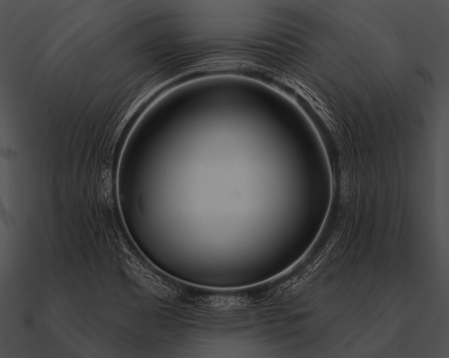 X0000090481465200708031114