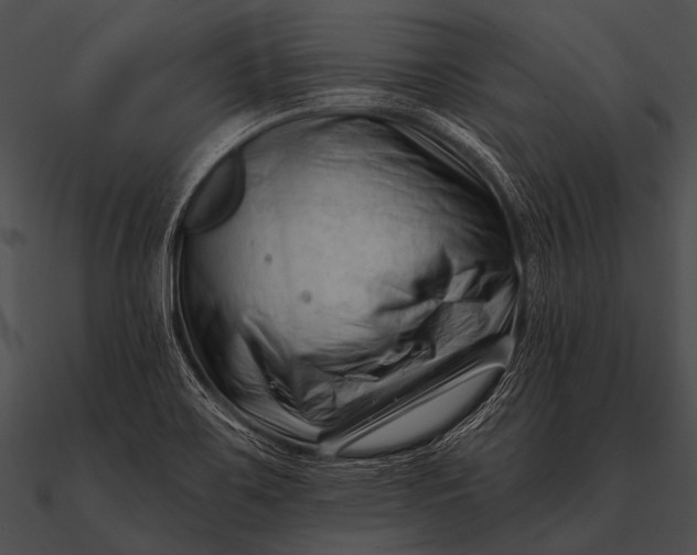 X0000090481467200708031114